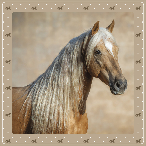 Pferdekalender 2027, Innenansicht #11