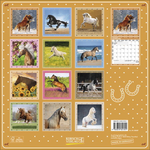 Pferdekalender 2027, Innenansicht #13