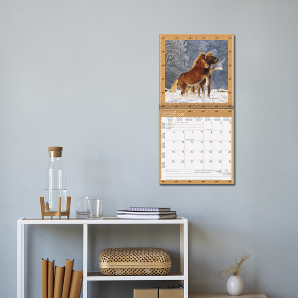Pferdekalender 2027, Innenansicht #16