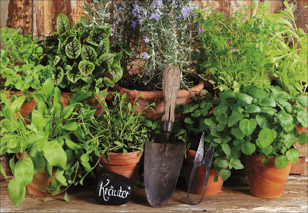 Kr&auml;uter und Gew&uuml;rze 2027, Innenansicht #4