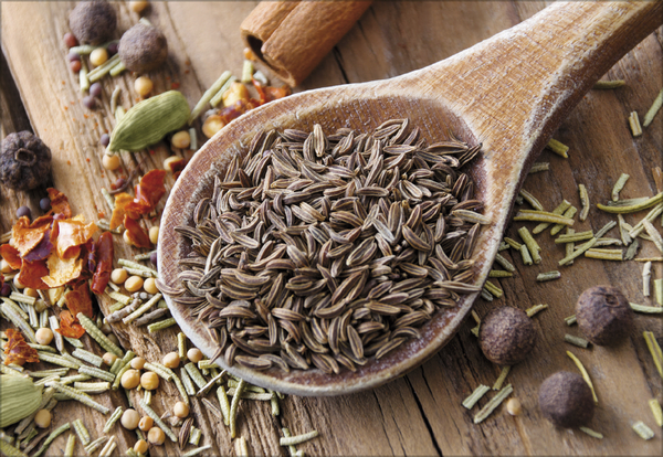 Kr&auml;uter und Gew&uuml;rze 2027, Innenansicht #5