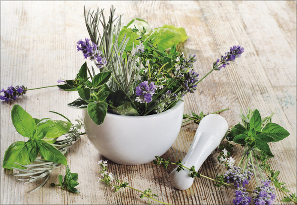 Kr&auml;uter und Gew&uuml;rze 2027, Innenansicht #8