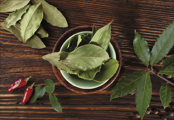 Kr&auml;uter und Gew&uuml;rze 2027, Innenansicht #9