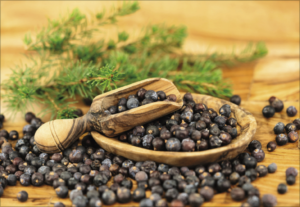 Kr&auml;uter und Gew&uuml;rze 2027, Innenansicht #10