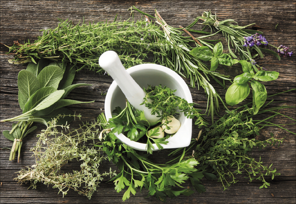 Kr&auml;uter und Gew&uuml;rze 2027, Innenansicht #11