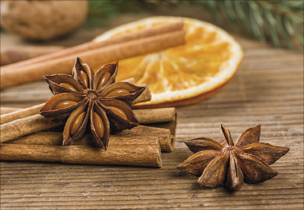 Kr&auml;uter und Gew&uuml;rze 2027, Innenansicht #12