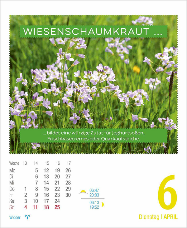 Gesund & Lecker! 2027, Innenansicht #5