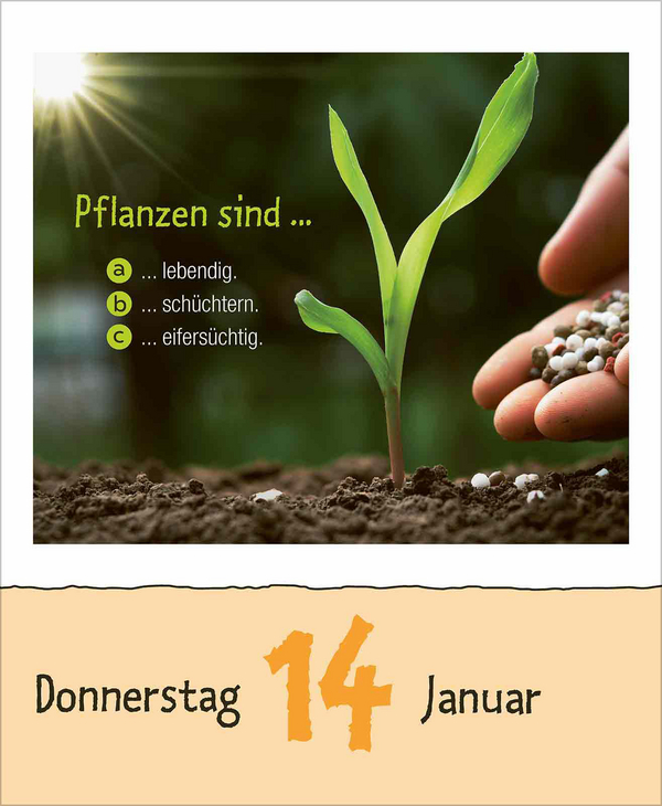 Kinderwissen 2027, Innenansicht #1