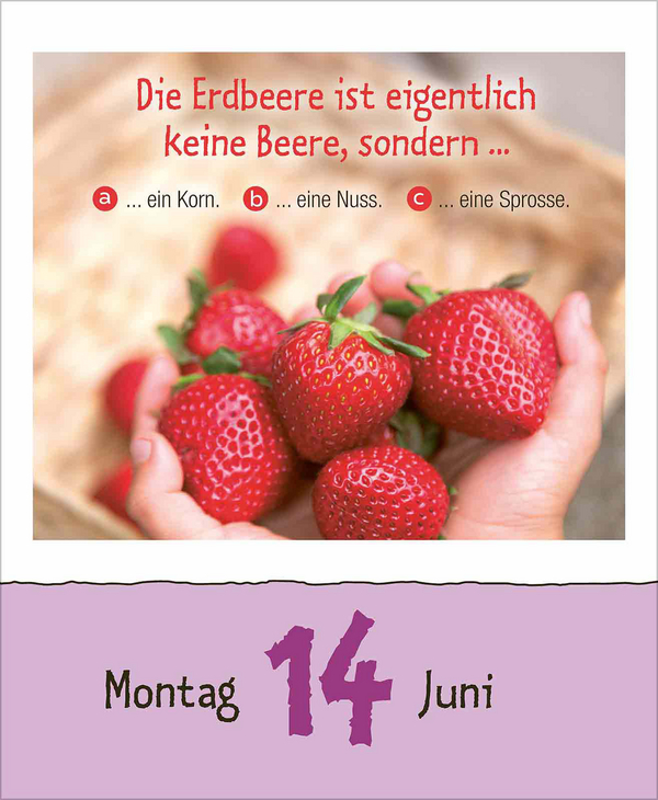 Kinderwissen 2027, Innenansicht #9