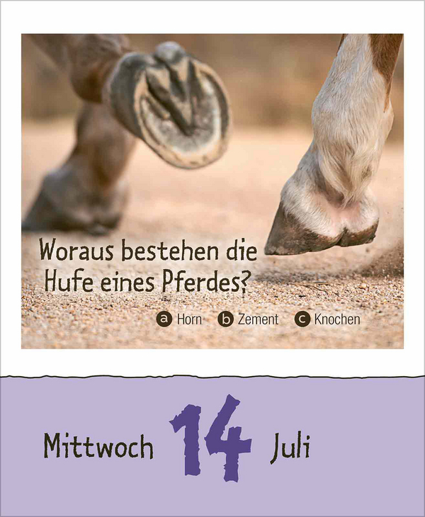 Kinderwissen 2027, Innenansicht #10