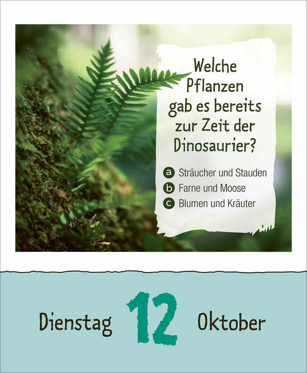 Kinderwissen 2027, Innenansicht #12