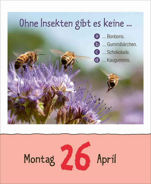 Vorsicht Geheimwissen 2027, Innenansicht #4