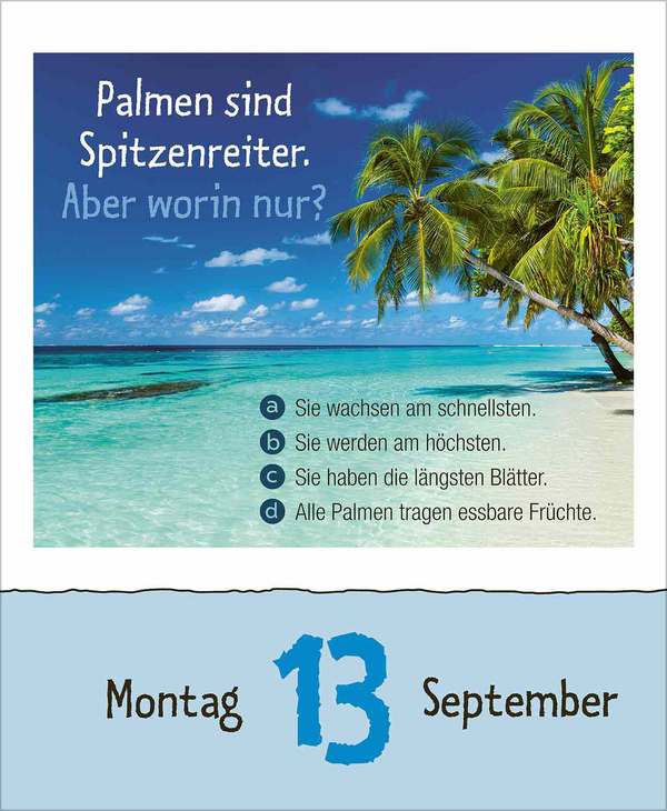 Vorsicht Geheimwissen 2027, Innenansicht #9