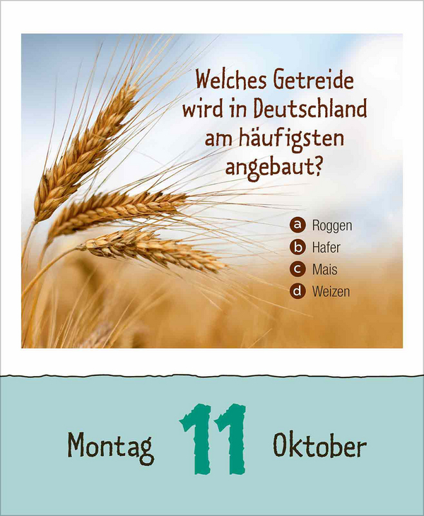 Vorsicht Geheimwissen 2027, Innenansicht #10