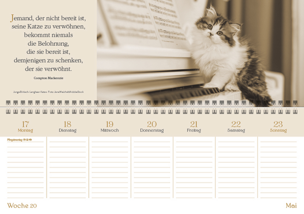 Der literarische Katzenplaner (TQ) 2027, Innenansicht #1