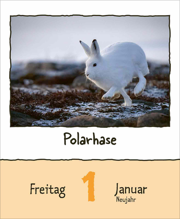 Tierisch unterwegs 2027, Innenansicht #1