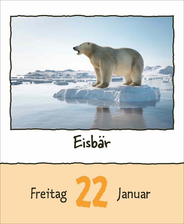 Tierisch unterwegs 2027, Innenansicht #2