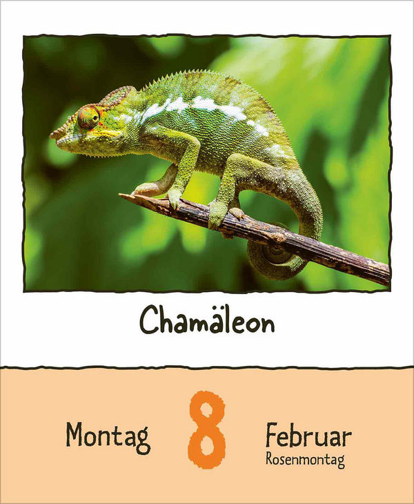 Tierisch unterwegs 2027, Innenansicht #3