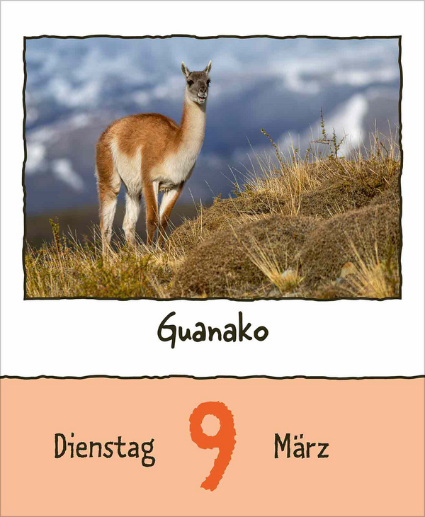 Tierisch unterwegs 2027, Innenansicht #4