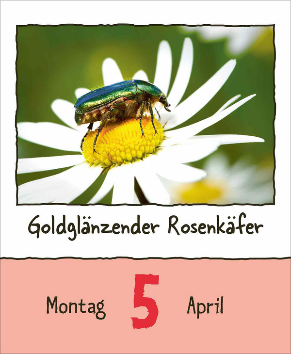 Tierisch unterwegs 2027, Innenansicht #5