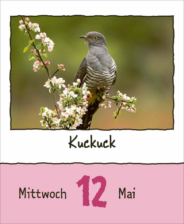 Tierisch unterwegs 2027, Innenansicht #6