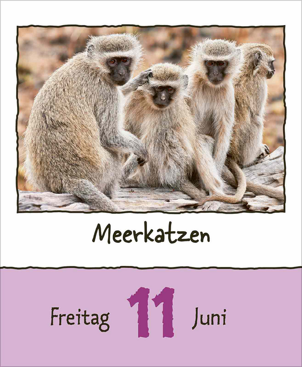 Tierisch unterwegs 2027, Innenansicht #7