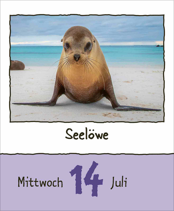 Tierisch unterwegs 2027, Innenansicht #8