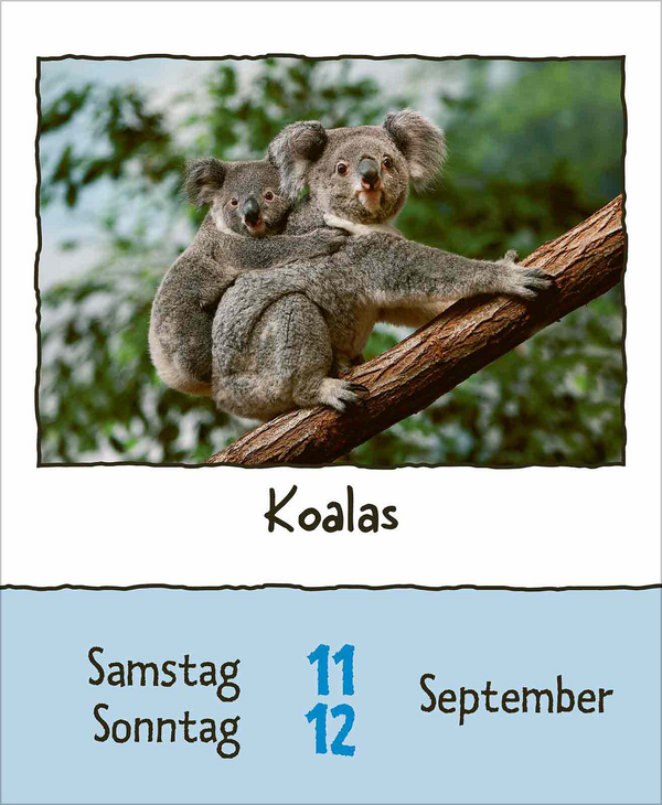 Tierisch unterwegs 2027, Innenansicht #10