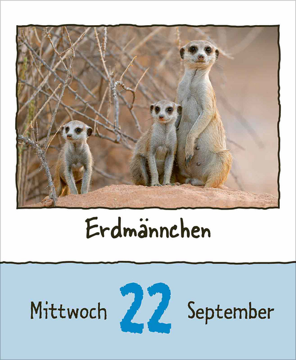 Tierisch unterwegs 2027, Innenansicht #11