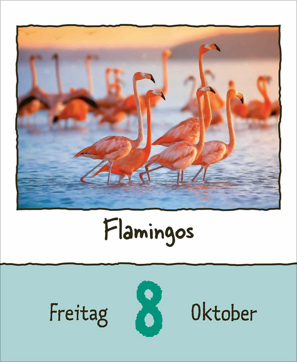 Tierisch unterwegs 2027, Innenansicht #12