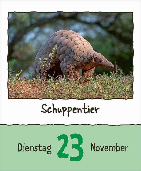 Tierisch unterwegs 2027, Innenansicht #13