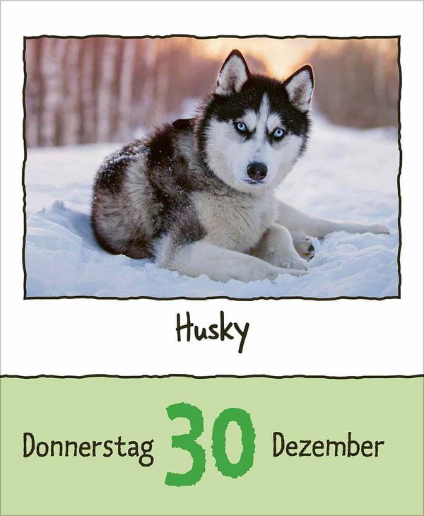 Tierisch unterwegs 2027, Innenansicht #14