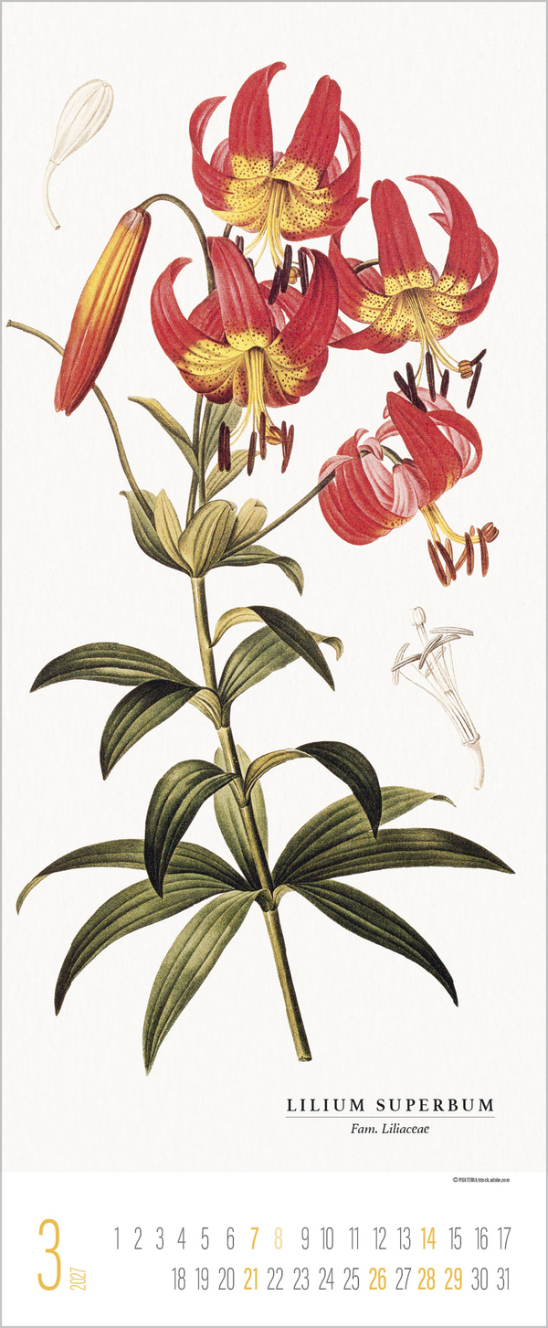 Botanicum 2027, Innenansicht #3