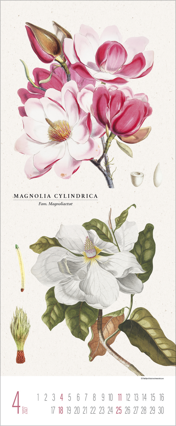 Botanicum 2027, Innenansicht #4