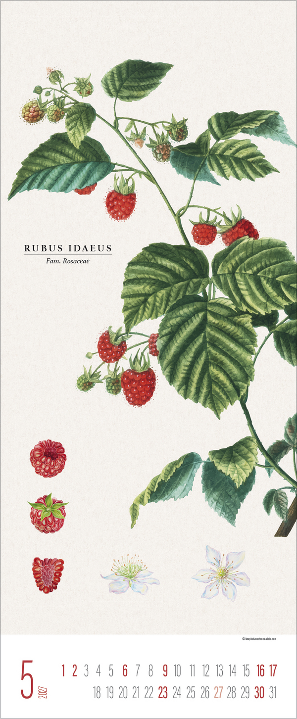 Botanicum 2027, Innenansicht #5