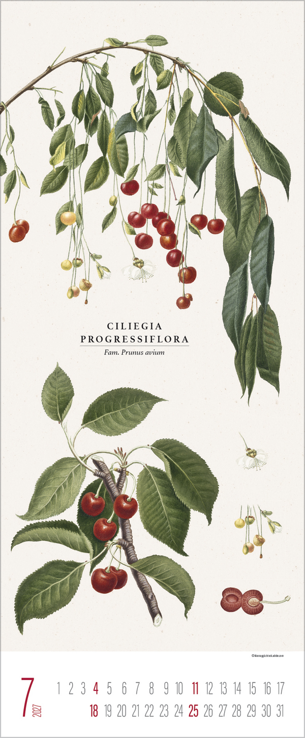 Botanicum 2027, Innenansicht #7