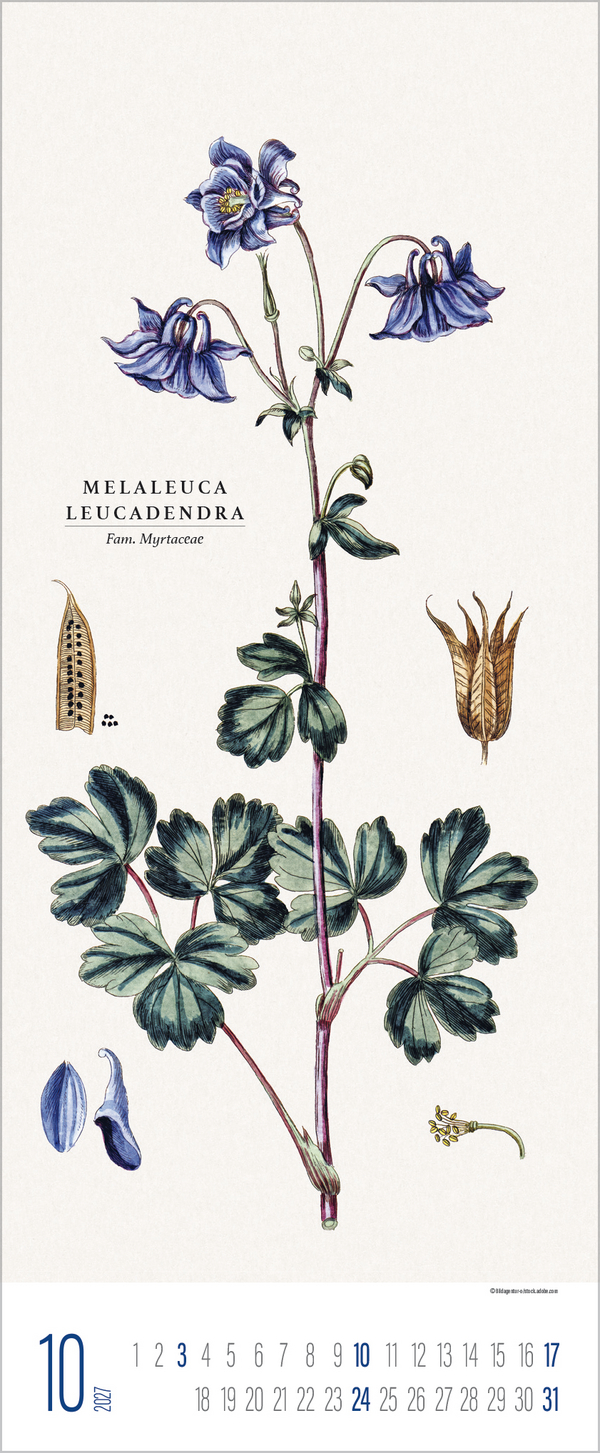 Botanicum 2027, Innenansicht #10