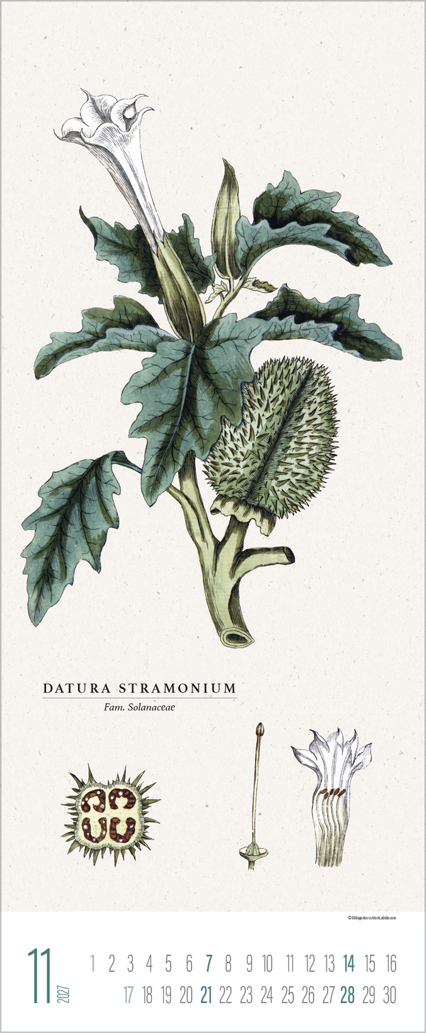 Botanicum 2027, Innenansicht #11