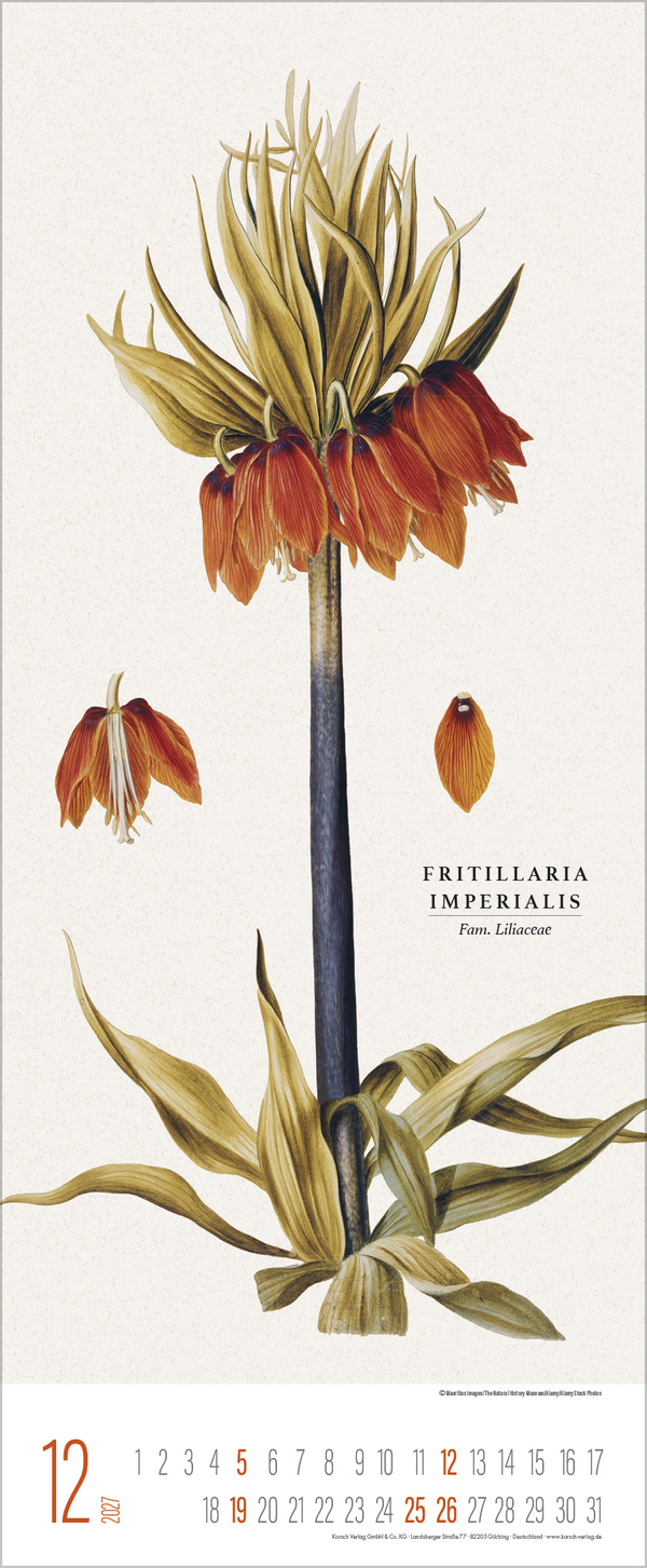 Botanicum 2027, Innenansicht #12