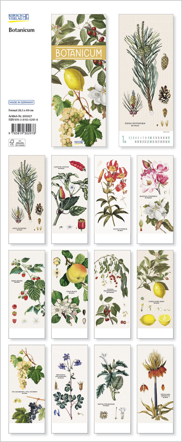 Botanicum 2027, Innenansicht #13