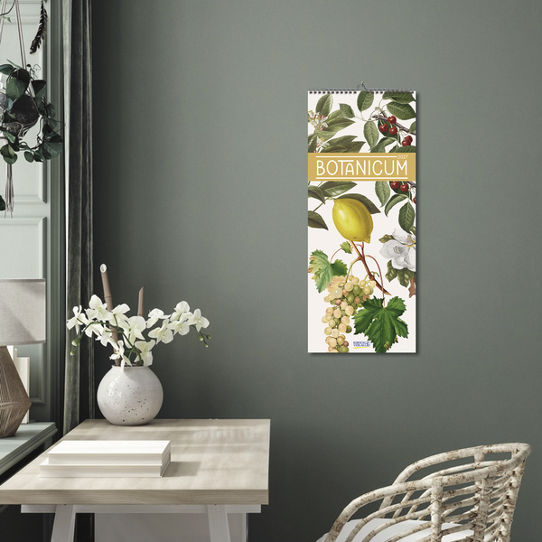 Botanicum 2027, Innenansicht #16