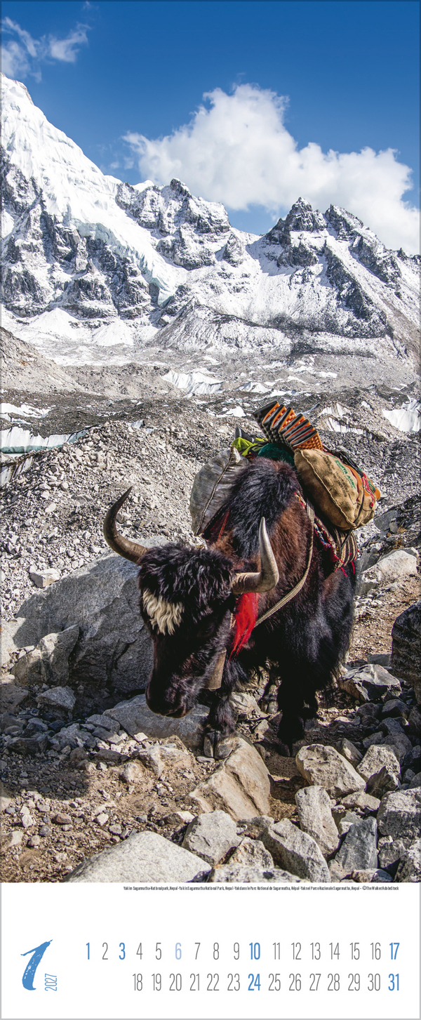 Colours of Asia 2027, Innenansicht #1