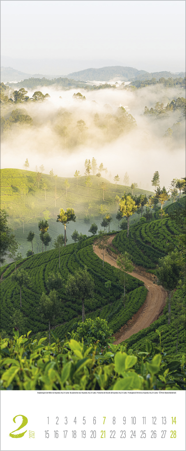 Colours of Asia 2027, Innenansicht #2