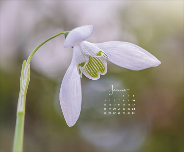 Floral Art 2027, Innenansicht #1