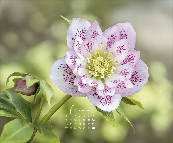 Floral Art 2027, Innenansicht #2