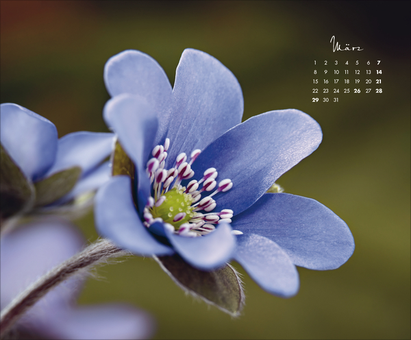 Floral Art 2027, Innenansicht #3