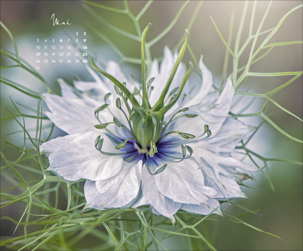 Floral Art 2027, Innenansicht #5