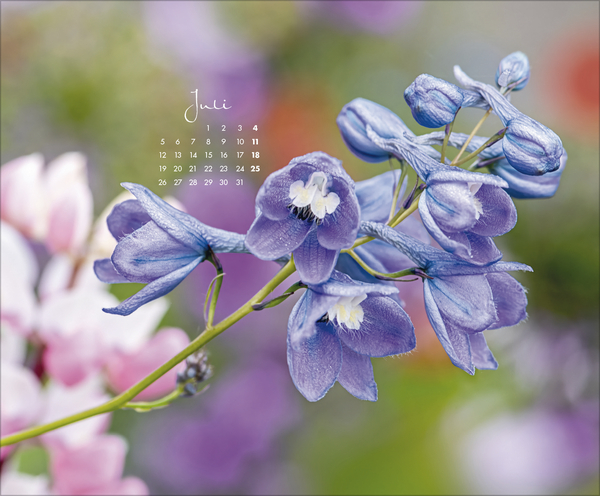 Floral Art 2027, Innenansicht #7