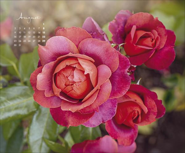 Floral Art 2027, Innenansicht #8