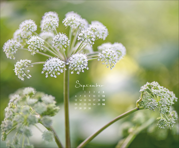 Floral Art 2027, Innenansicht #9